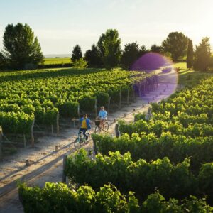 Ciclismo entre Vinhas e Montanhas