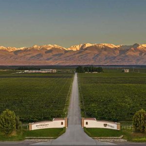Vinhos, Oliva e Cordilheira