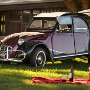 Citroen, alquiler por día,